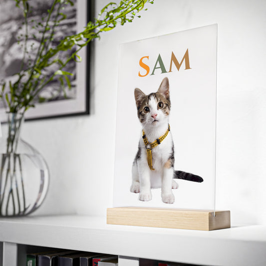 Katzenportrait - Personalisiertes Acrylglas mit Ihrer geliebten Katze - Das ideale Geschenk für Katzenliebhaber!